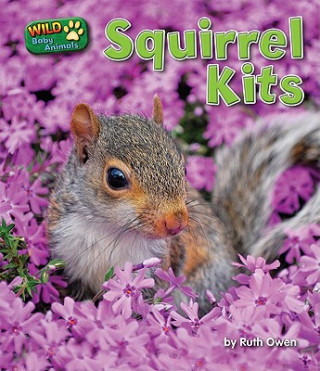 Squirrel Kits