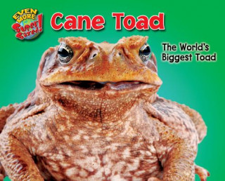 Cane Toad: The World's Biggest Toad