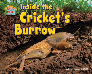 Inside the Cricket's Burrow