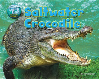 Saltwater Crocodile