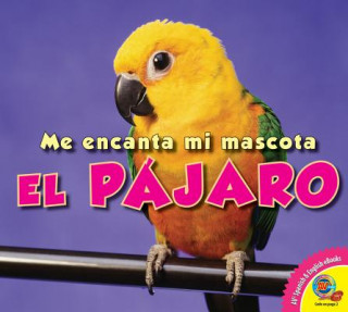 El Pajaro