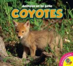 Coyotes, With Code = Coyotes, with Code