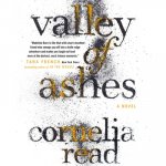 Valley of Ashes