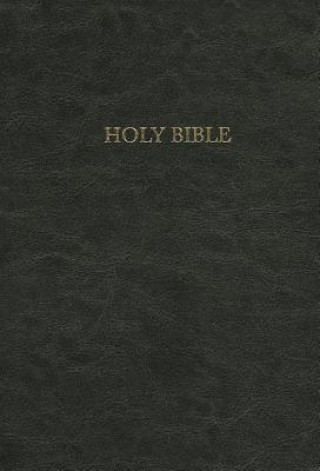 Pursuit of God Bible-NIV