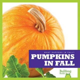 Pumpkins in Fall