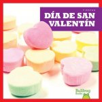 Dia de San Valentin / (Valentine's Day)