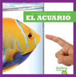 El Acuario (Aquarium)