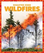 Wildfires