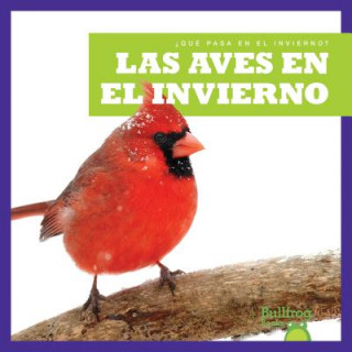 Las Aves En El Invierno