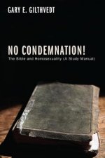 No Condemnation!: The Bible and Homosexuality (a Study Manual)