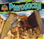 Pterodactyl