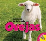 Ovejas = Sheep