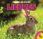 Liebres = Rabbits