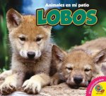 Lobos = Wolves