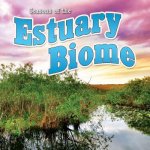 Seasons of the Estuary Biome