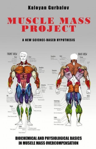 Muscle Mass Project: A New Science-Based Hypothesis