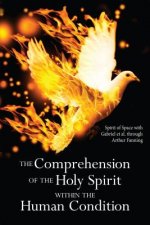 The Comprehension of the Holy Spirit Within the Human Condition