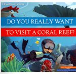 Do You Really Want to Visit a Coral Reef?