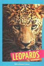 Leopards
