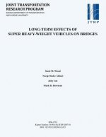Long-Term Effects of Super Heavy-Weight Vehicles on Bridges