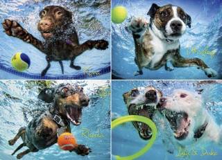 Underwater Dogs 2 Jigsaw Puzzle