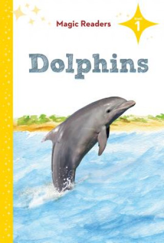 Dolphins: Level 1