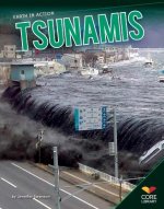 Tsunamis