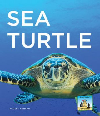 Sea Turtle