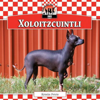 Xoloitzcuintli