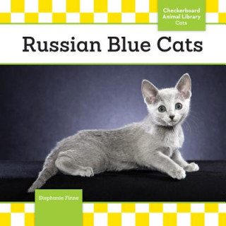 Russian Blue Cats