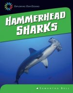 Hammerhead Sharks