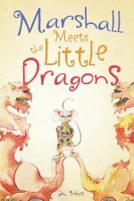 Marshall Meets the Little Dragons