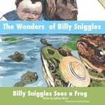 Wonders of Billy Sniggles