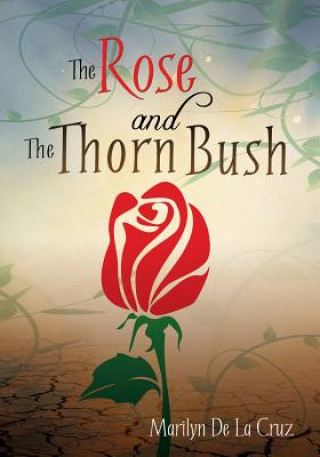 Rose and the Thorn Bush