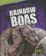 Rainbow Boas