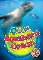 Southern Ocean