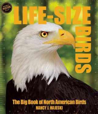 Life Size Birds: The Big Book of North American Birds