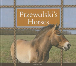 Przewalski's Horses