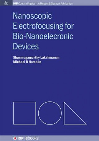 Nanoscopic Electrofocusing for Bio-Nanoelectronic Devices