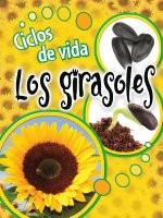 Ciclos de Vida Los Girasoles (Life Cycles: Sunflowers)