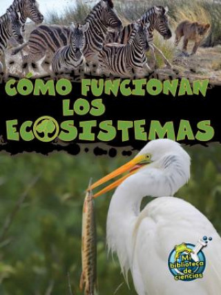 Como Funcionan Los Ecosistemas (How Ecosystems Work)