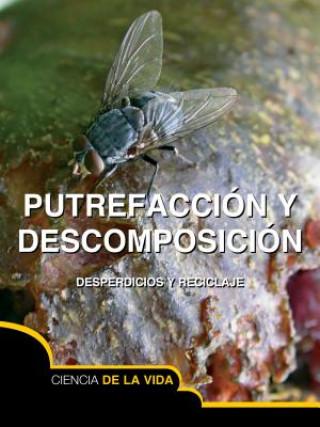 Putrefaccion y Descomposicion (Rot and Decay)