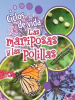 Ciclos de Vida de Las Mariposas y Las Polillas (Butterflies and Moths)