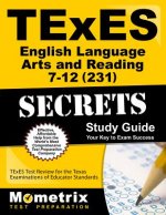TExES English Language Arts and Reading 7-12 (231) Secrets Study Guide