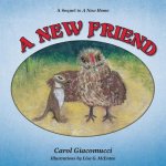 New Friend