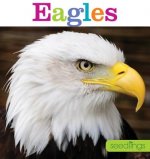 Seedlings: Eagles