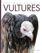 Amazing Animals: Vultures