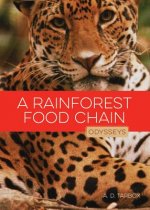 A Rainforest Food Chain