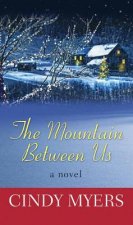 The Mountain Between Us