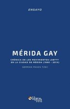 Merida Gay. Cronica de Los Movimientos Lgbttt En La Ciudad de Merida (1960-2014)